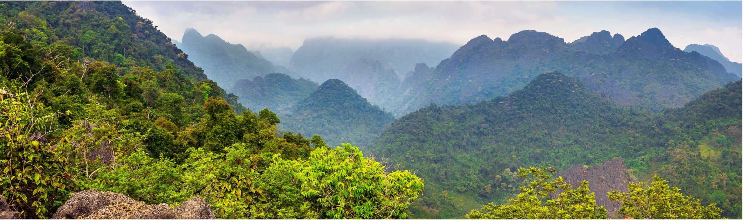 Imagen cortesía de Freepik